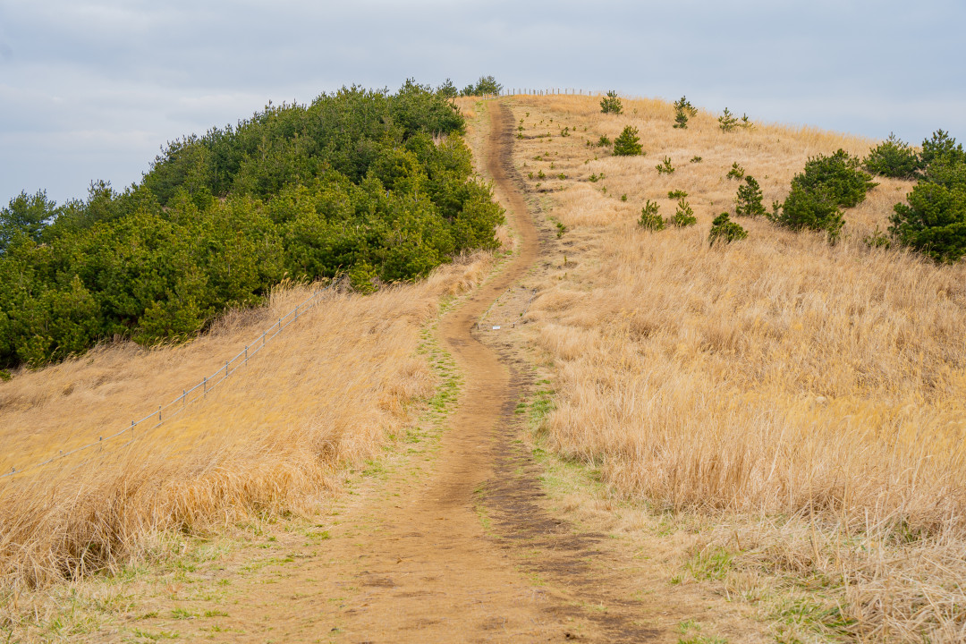 용눈이 오름 정상 둘레길