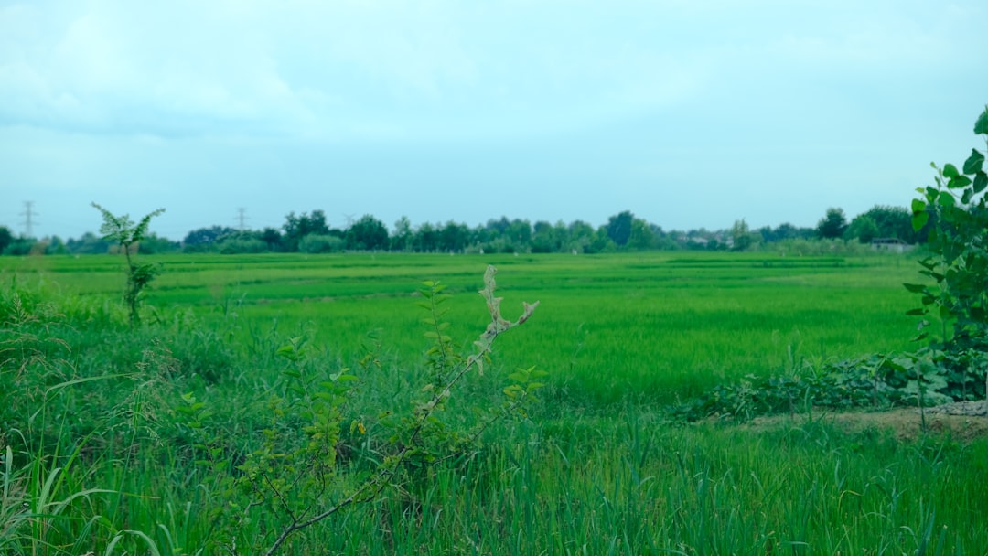 막창 (Mokchang)