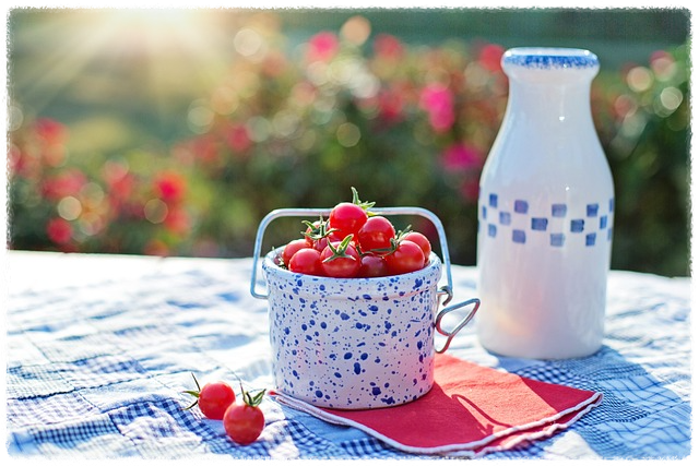 위고비 보험 적용 안내