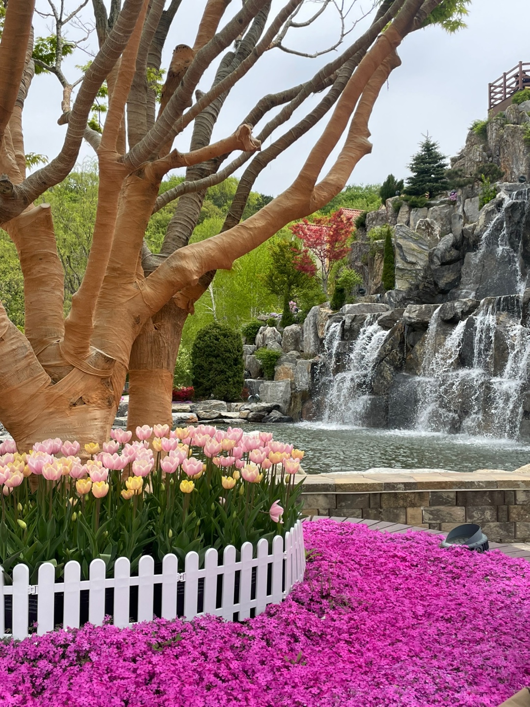 용인 자작나무숲 베툴라 대형 베이커피 카페