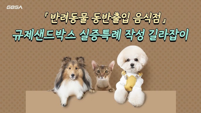 🐾 [반려동물]과 식사 가능한 시대, &quot;규제 샌드박스가 만든 변&quot;