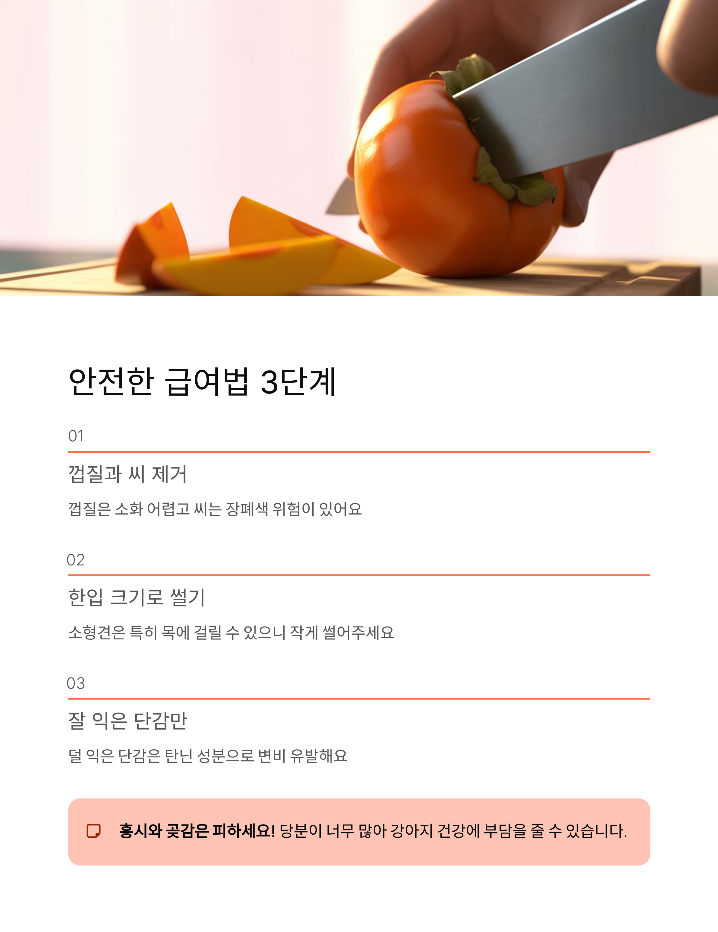 강아지 단감 먹어도 될까? 안전한 급여법과 주의사항 완전 정리 🍊