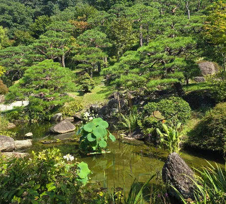 화담숲예약-풍경