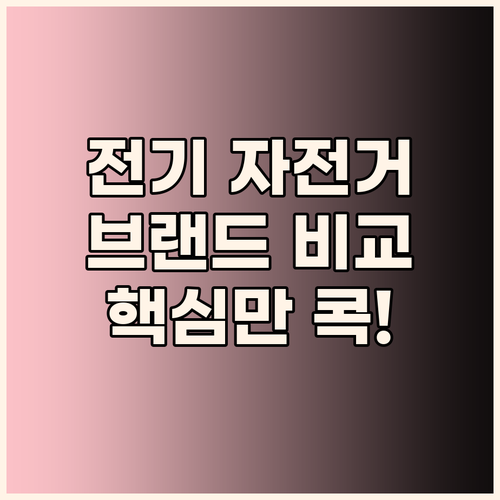 전기 자전거 구매 가이드 바이크TRA