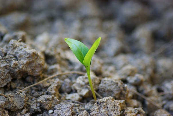 총부유세균은 왜 생활환경 위생 관리의 기준이 되는가?