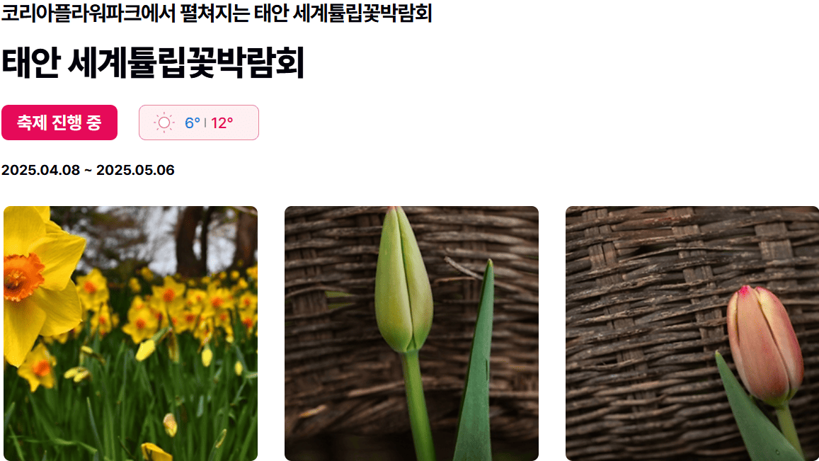 태안세계튤립꽃박람회