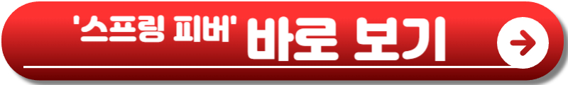 스프링 피버