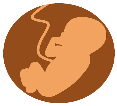 2023 출산지원금