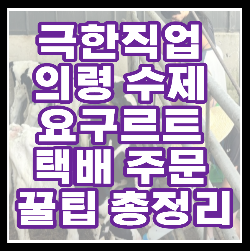 극한직업 의령 수제 요구르트 택배 주문 꿀팁 총정리 (+당일 착유&middot;가공! )