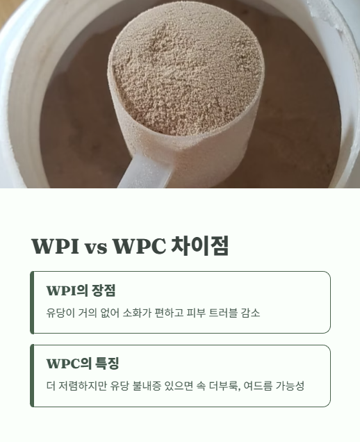 wpi vs wpc 차이점