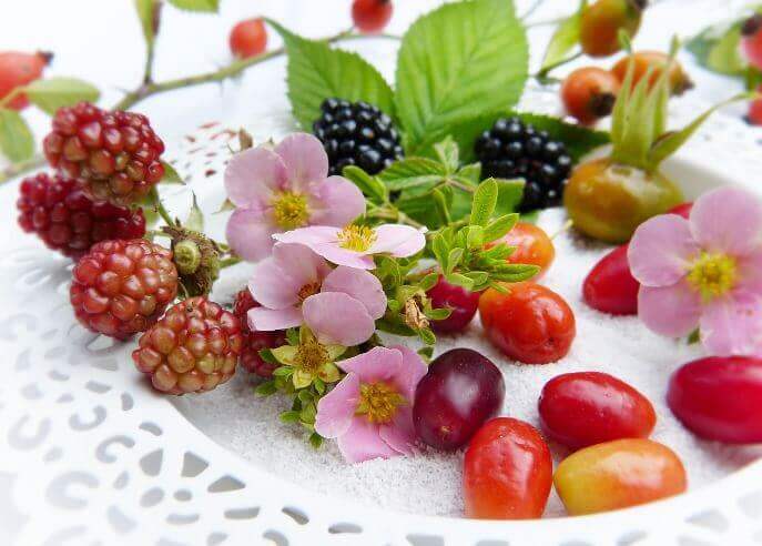 폐-건강에-좋은-음식3