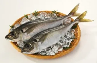 생선 비린내 프라이팬 소금 굽기와 환기 창문 열기_10