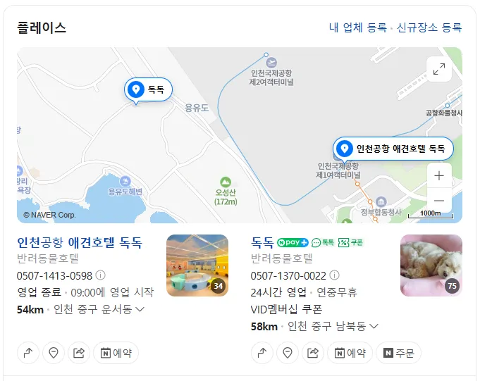 인천공항 애견호텔 독독