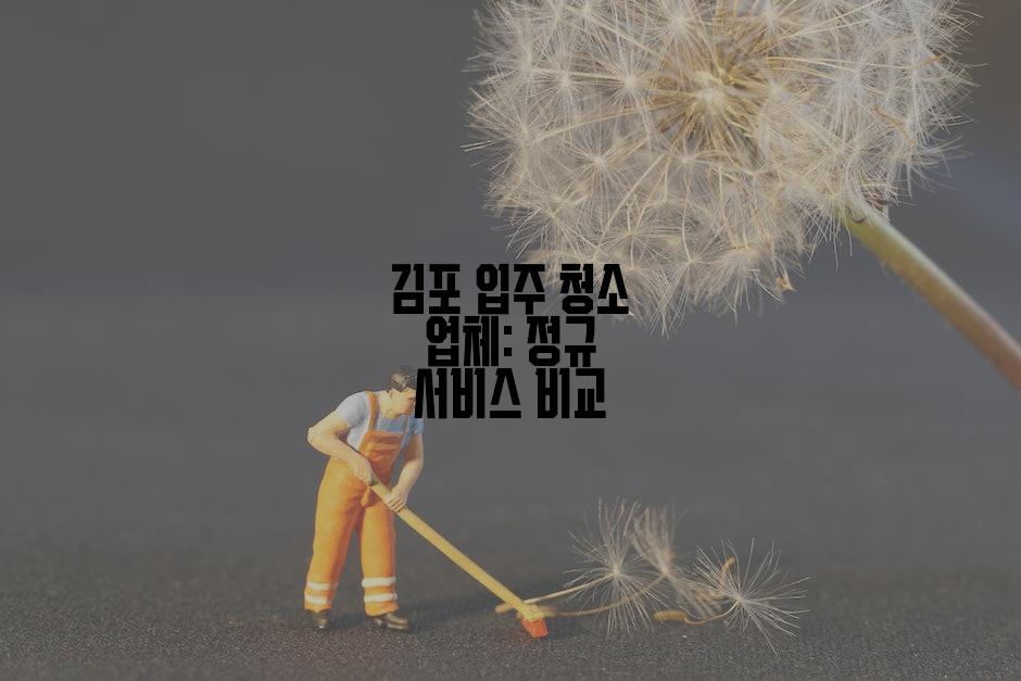 김포 입주 청소 업체: 정규 서비스 비교