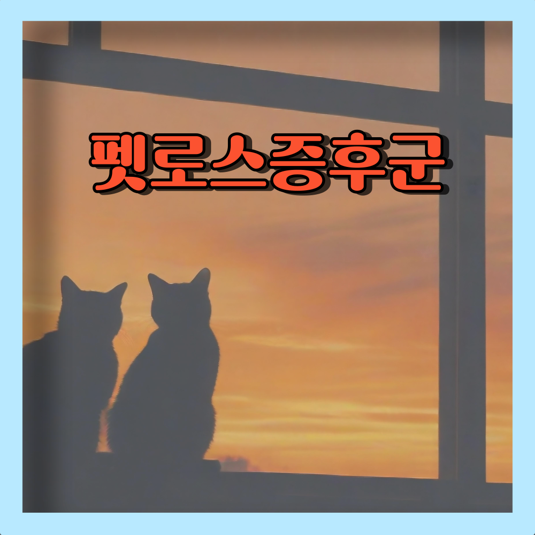 펫로스증후군