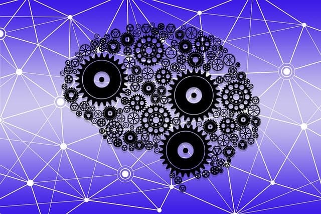 문해력과 비판적 사고력을 높이는 질문 기반 학습(QBL)