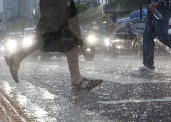 마포구 재난재해 예비비 줄여 대통령 흉상 세우나