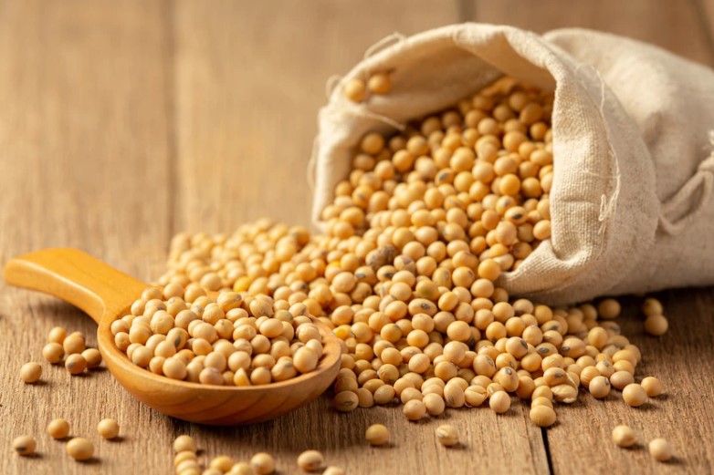 탈모예방음식 발모도움되는음식 탈모의심질환 발모에도움이되는음식 