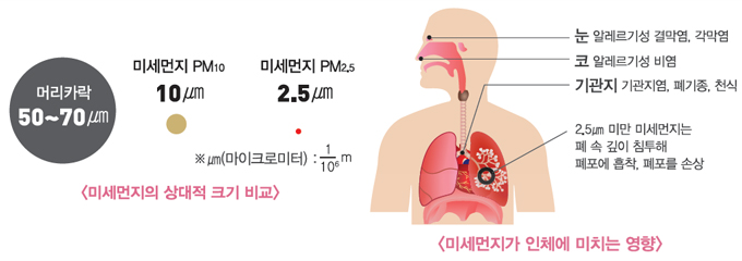 미세먼지가 인체에 미치는 영향 미세먼지크기