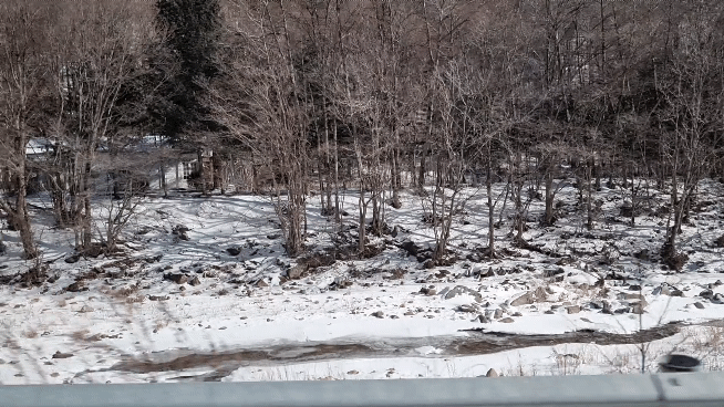 대관령 삼양목장 가는 길.gif