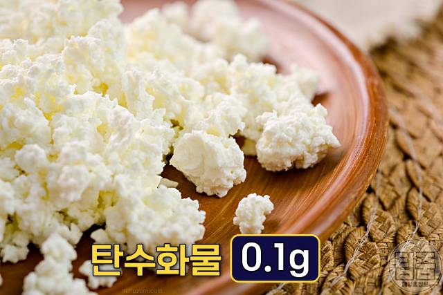 저탄수화물 다이어트 고단백 음식 추천 코티지치즈 하루 탄수화물 권장량