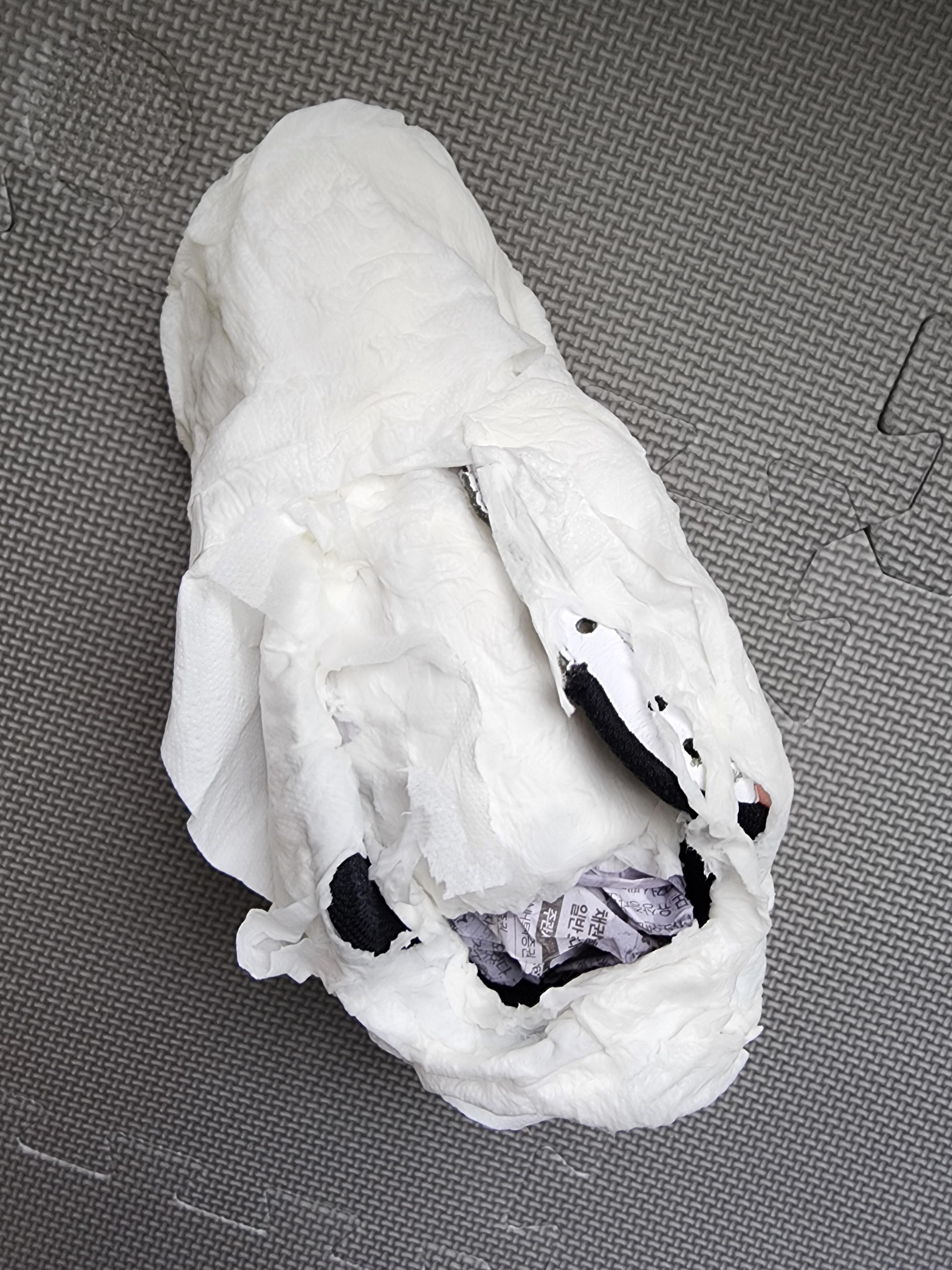 세탁하자마자 화장지로 운동화를 감쌌어요