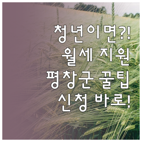 평창군 청년 월세 지원 자격과 신청 ..