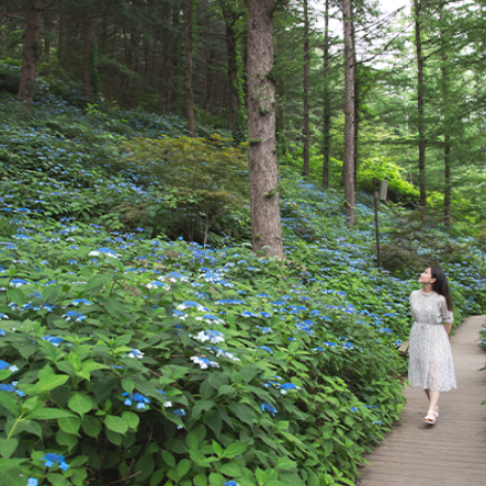 6, 7월 국내 여행지 가평 추천!