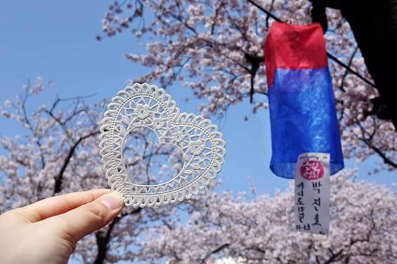 제주왕벚꽃축제