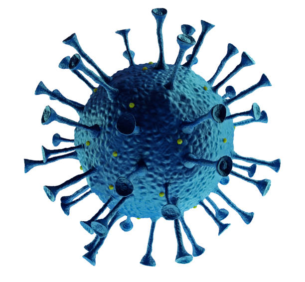 알약 무료 다운로드