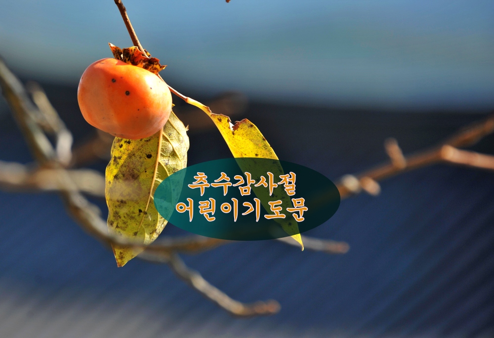 추수감사주일 주일학교 대표기도문