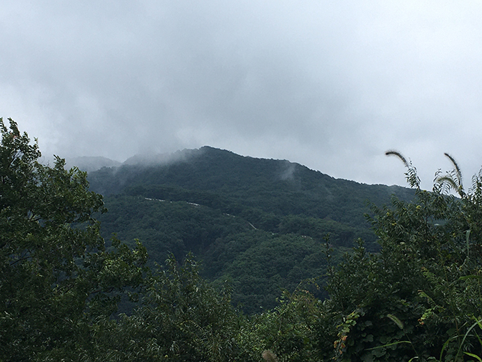 먼-산-작게-보이는-성곽길들