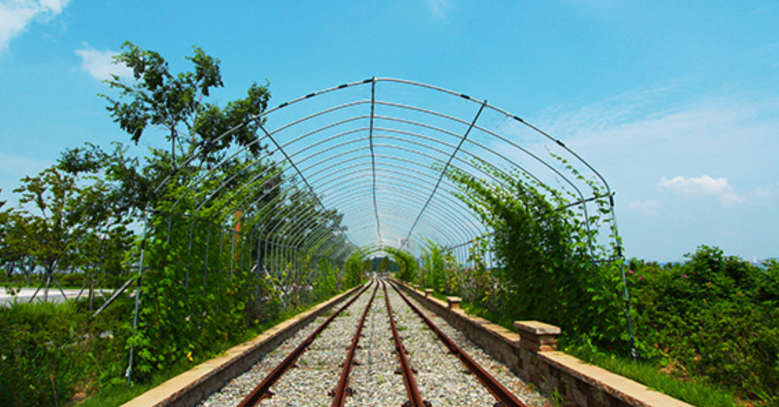 영종도 레일바이크