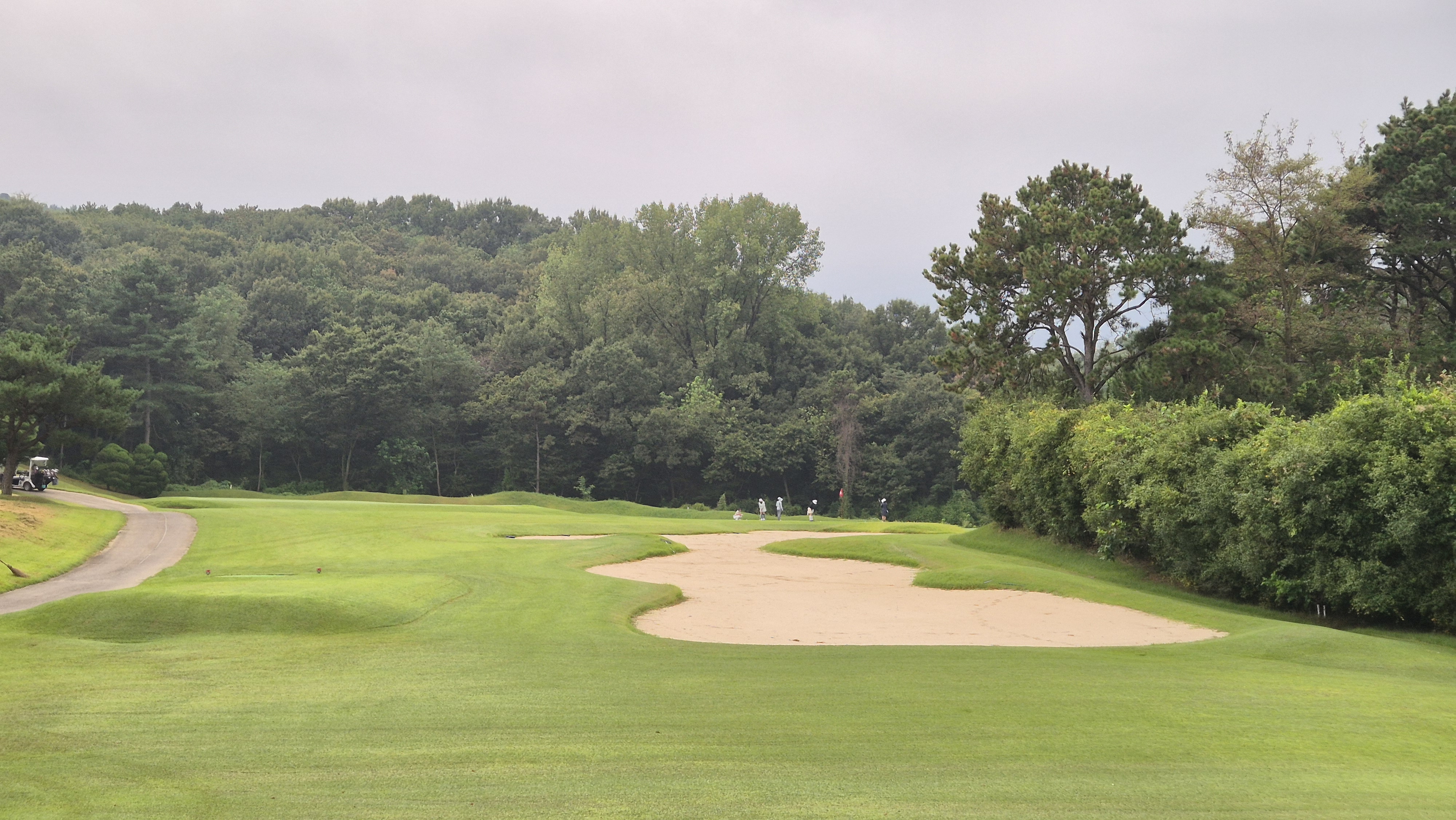 도고cc 코스 사진 및 공략 정보