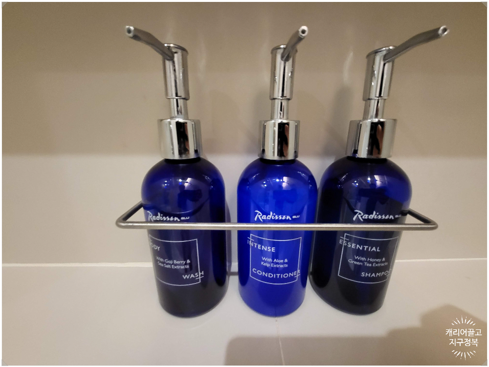 세부시티 레디슨 블루 호텔