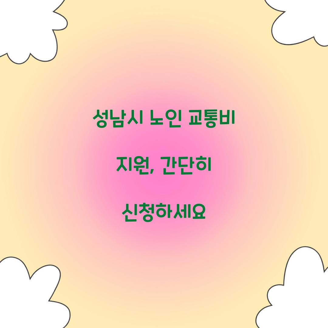 성남시 노인 교통비 지원