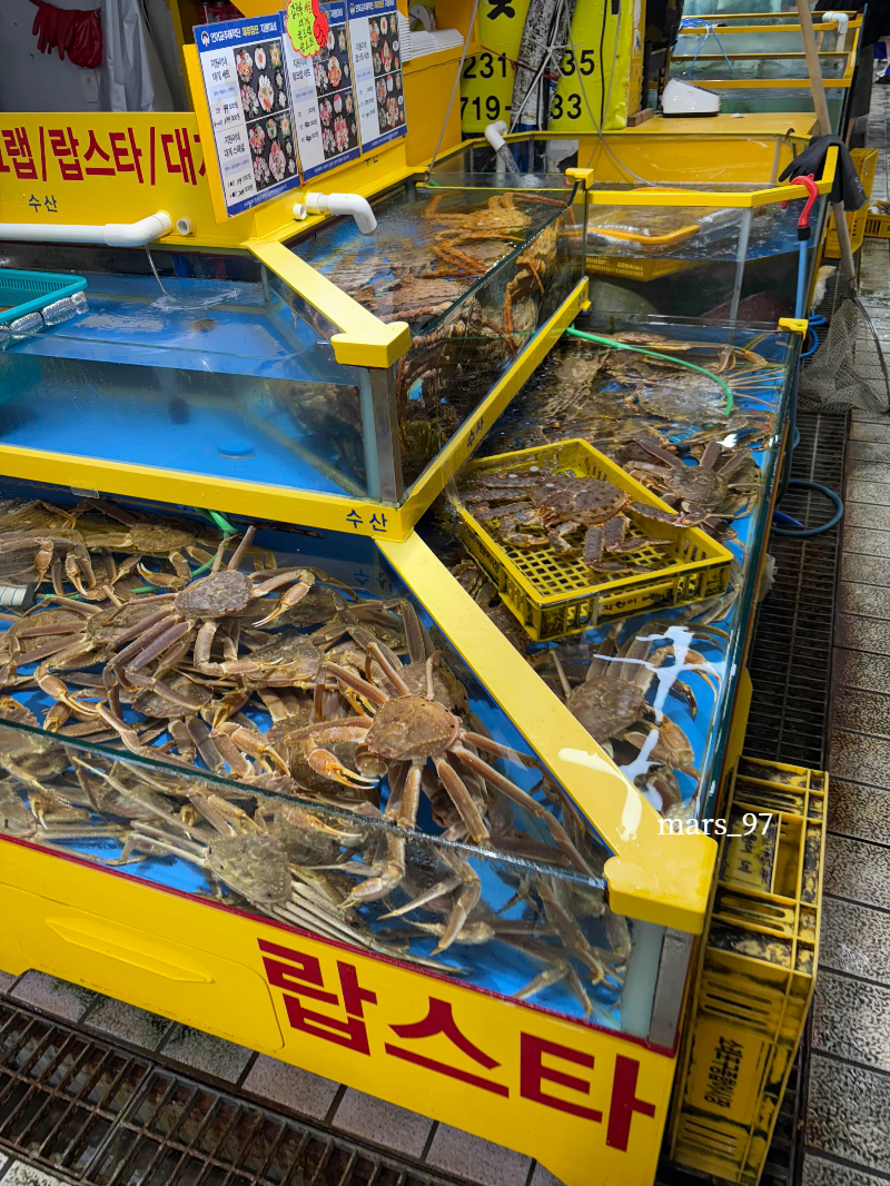 인천-소래포구