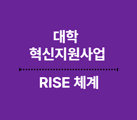 대학 혁신지원사업이란? RISE 체계, 대학 참여 사례, 평생교육 연계 전략
