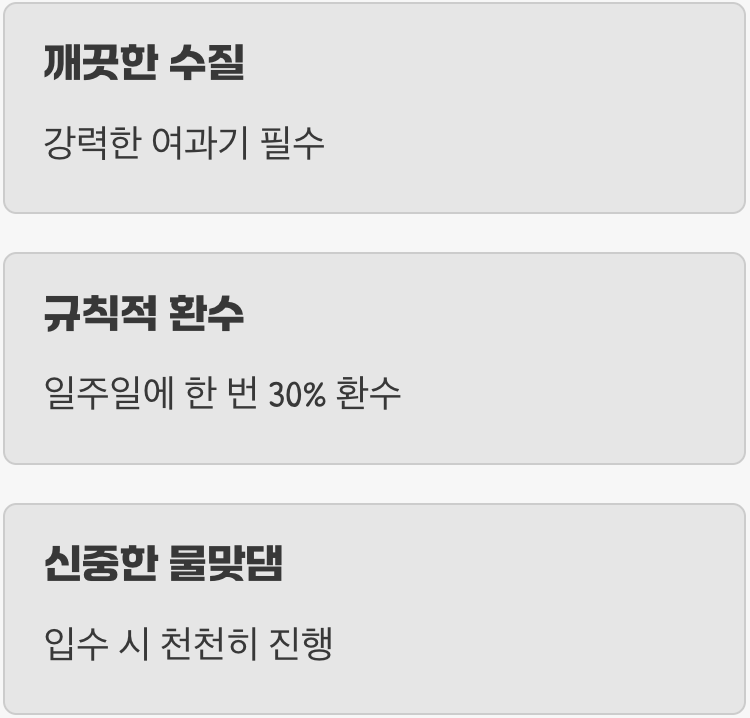 수질 관리 - 예민한 요정을 위한 배려