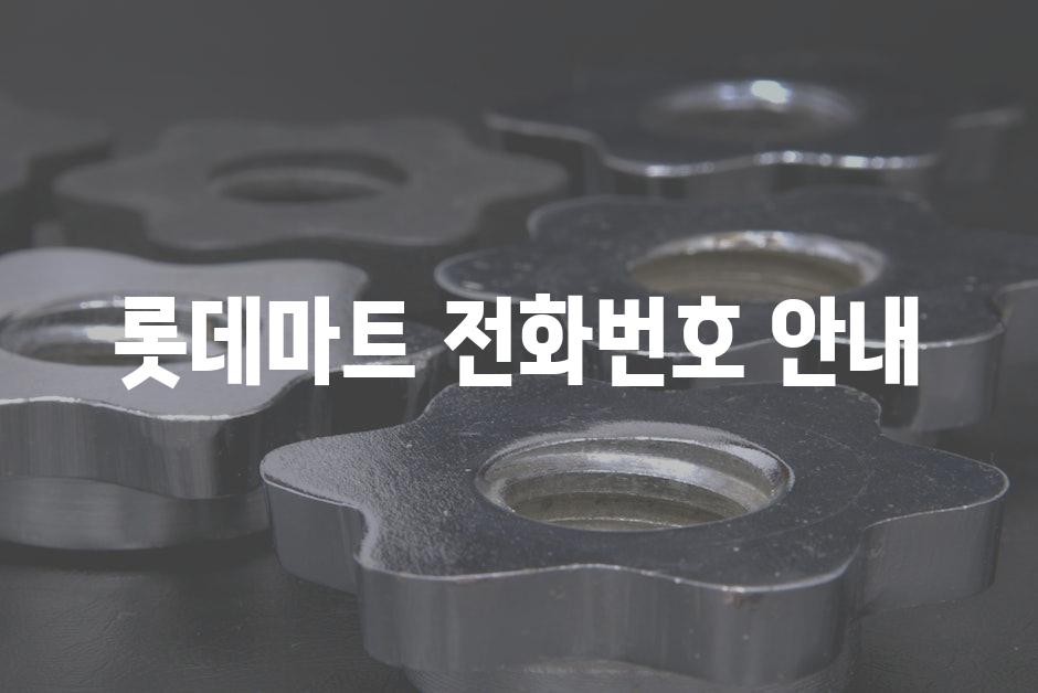 샘플 (52)