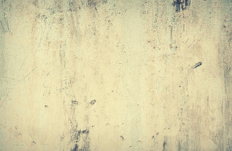 벽지 곰팡이 제거 방법 예방 꿀팁 총 정리