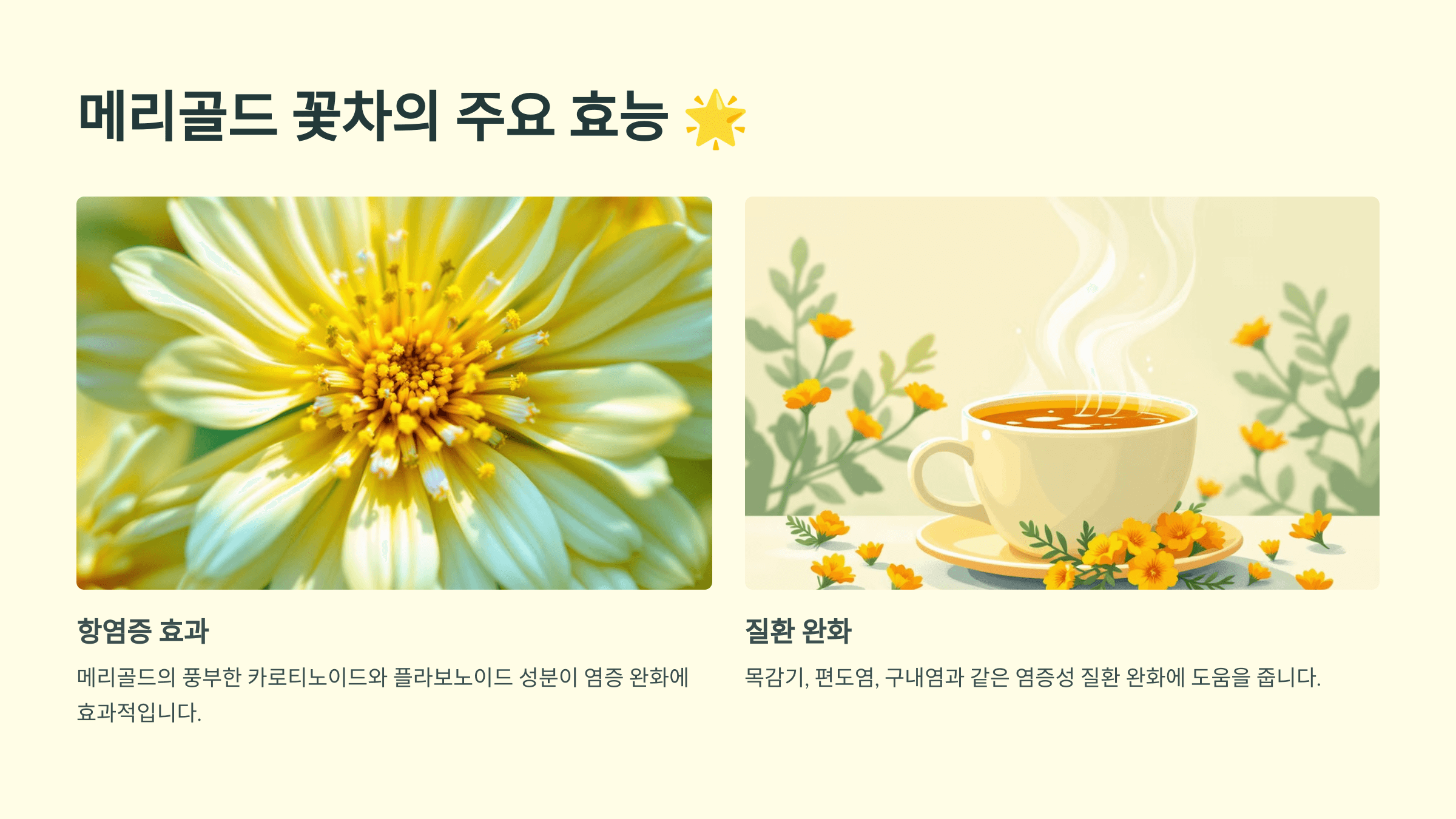 메리골드 꽃차 사진입니다.