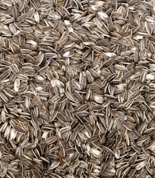 콜레스테롤 낮추는 방법 음식 과일