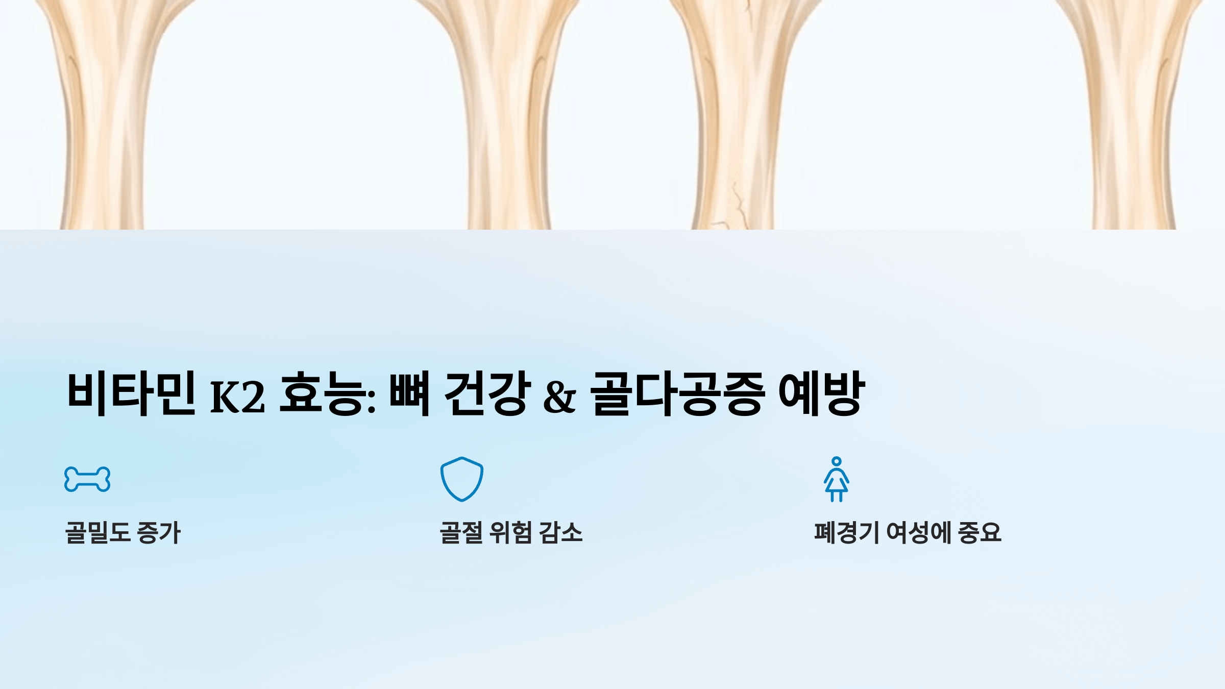 비타민k2와 관련된 사진입니다.