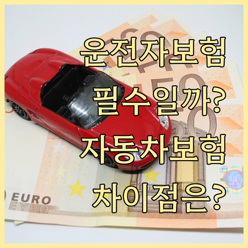 운전자보험 Q&A: 자동차보험과 차이..