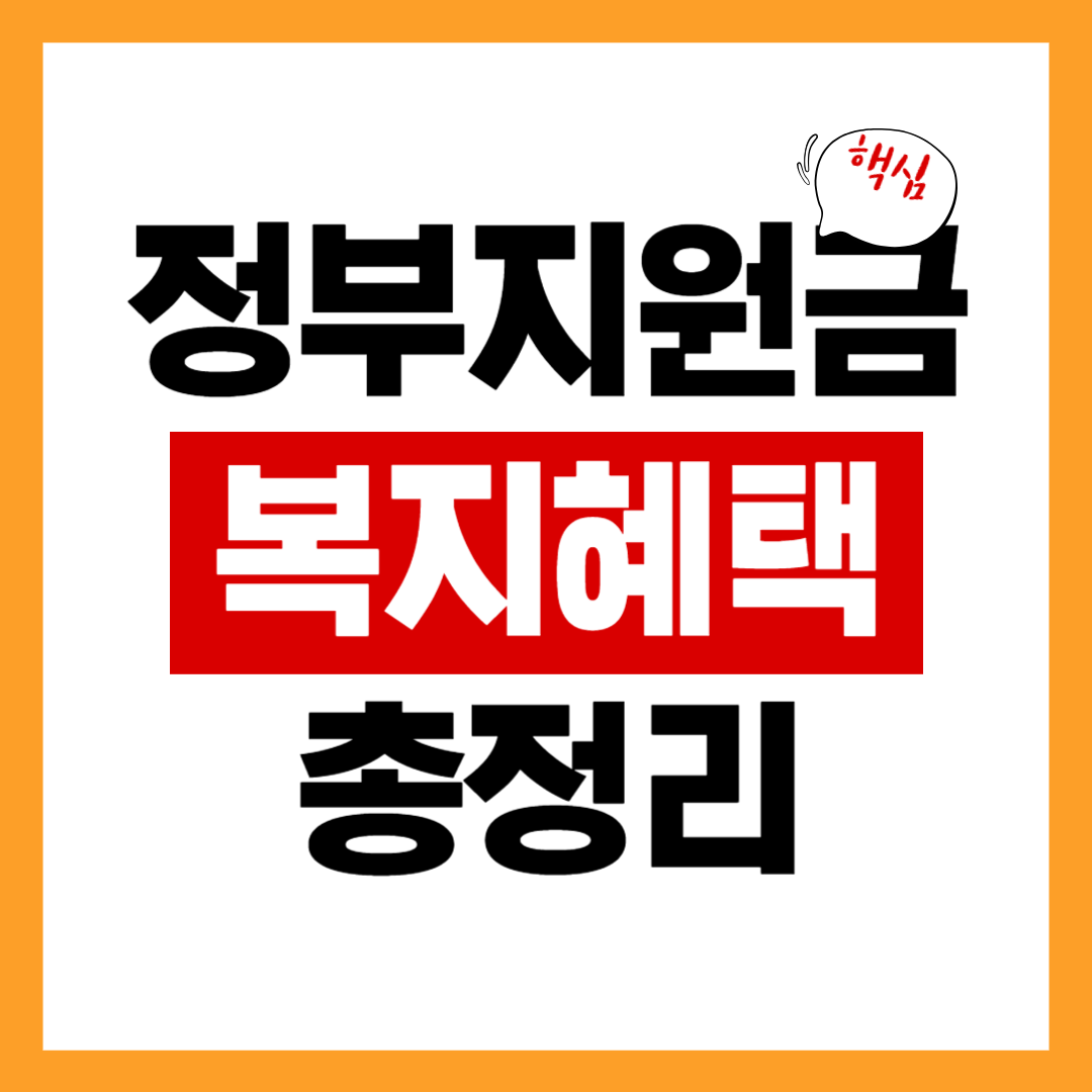 정부 지원금 / 복지 혜택 총정리