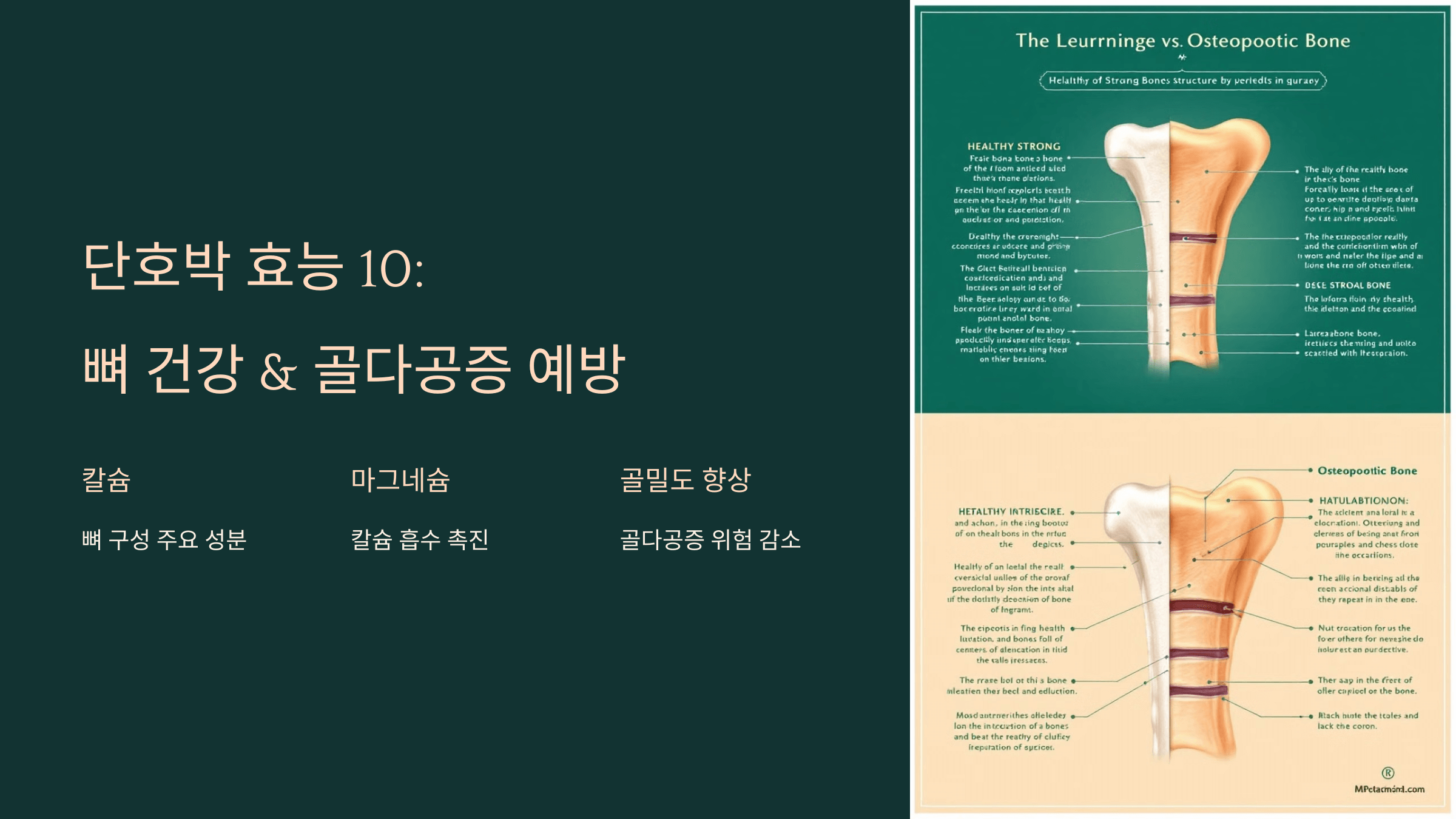 단호박 사진입니다.