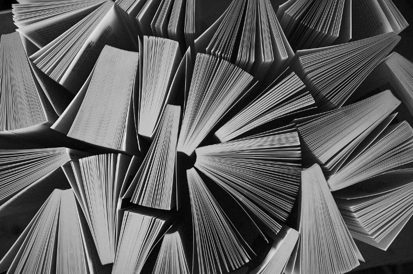 김문수 재산 고향 학력 대선 공약 총정리