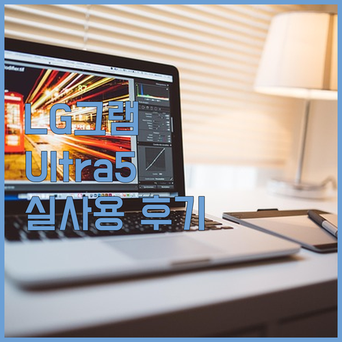 2024 LG 그램 17 사용 후기 