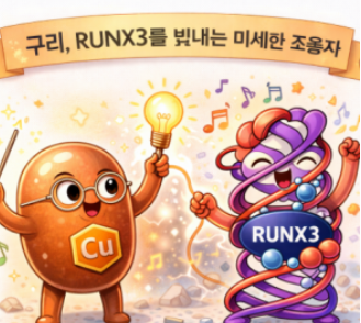 구리 - 산화-환원 균형과 유전자 조절